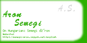 aron semegi business card